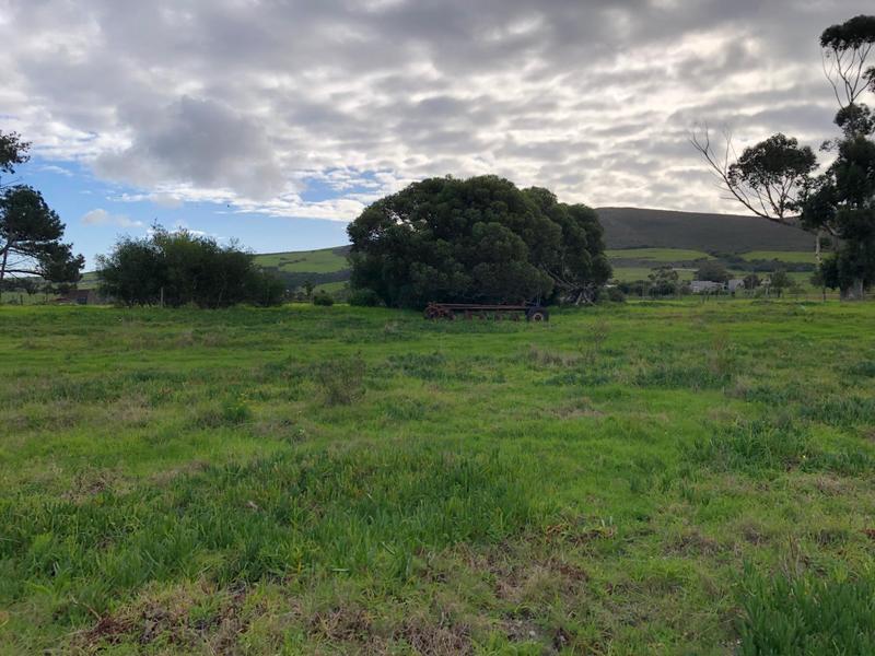 0 Bedroom Property for Sale in Baardskeerdersbos Western Cape